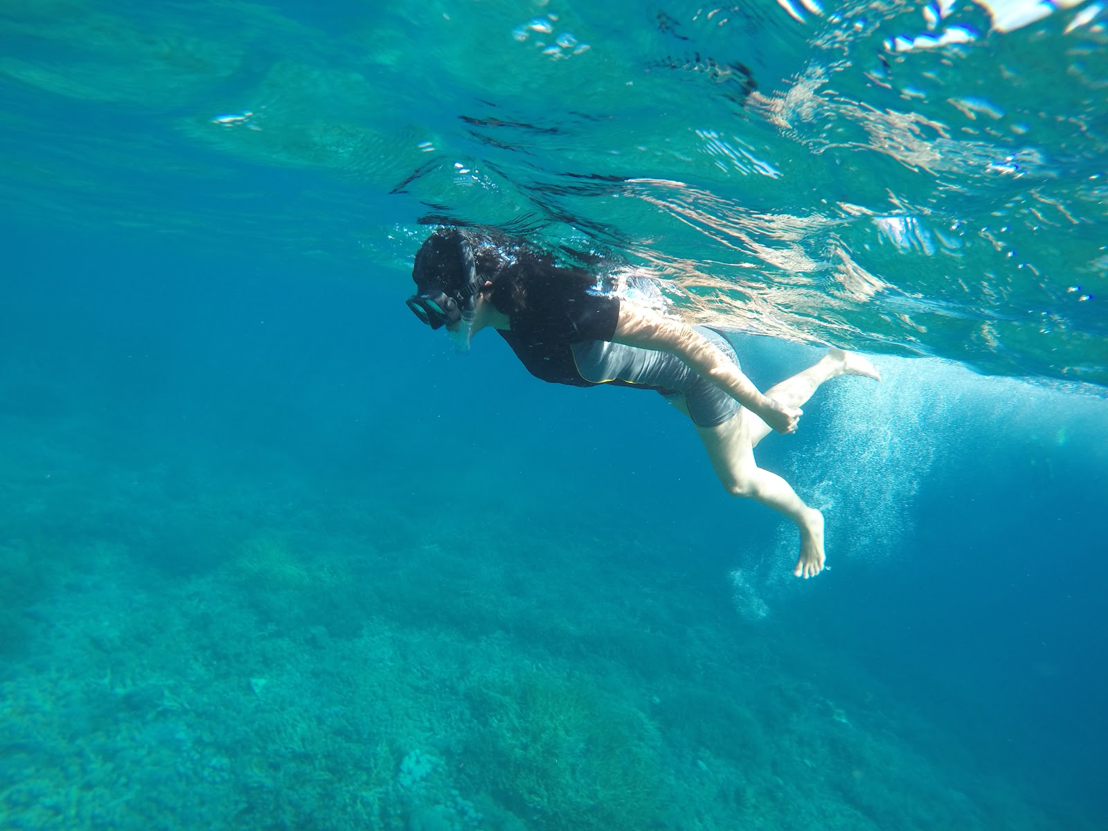 Snorkelling in Komodo Snorkelling in Komodo