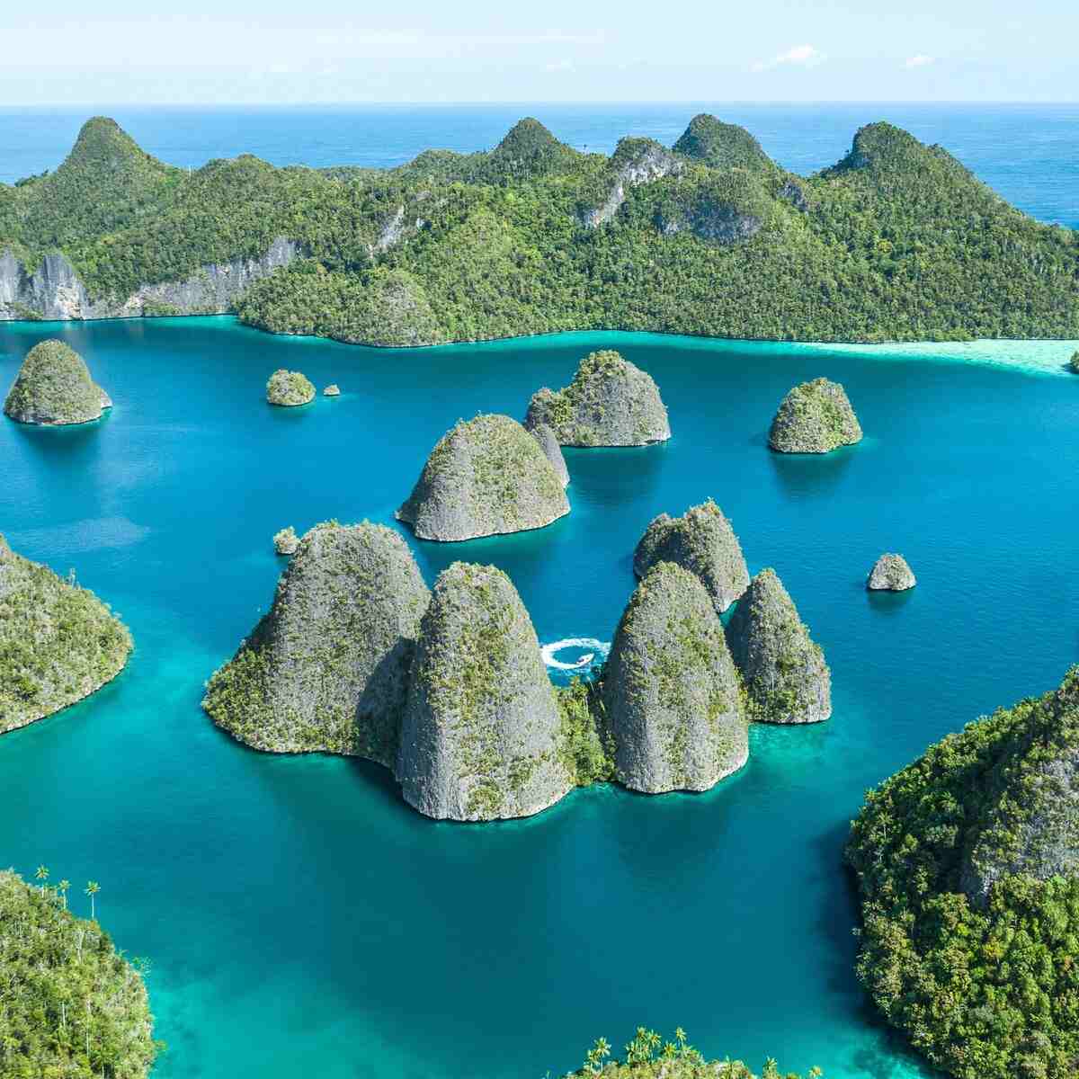 Komodo vs Raja Ampat for Liveaboard Diving in 2027: Honest Comparison