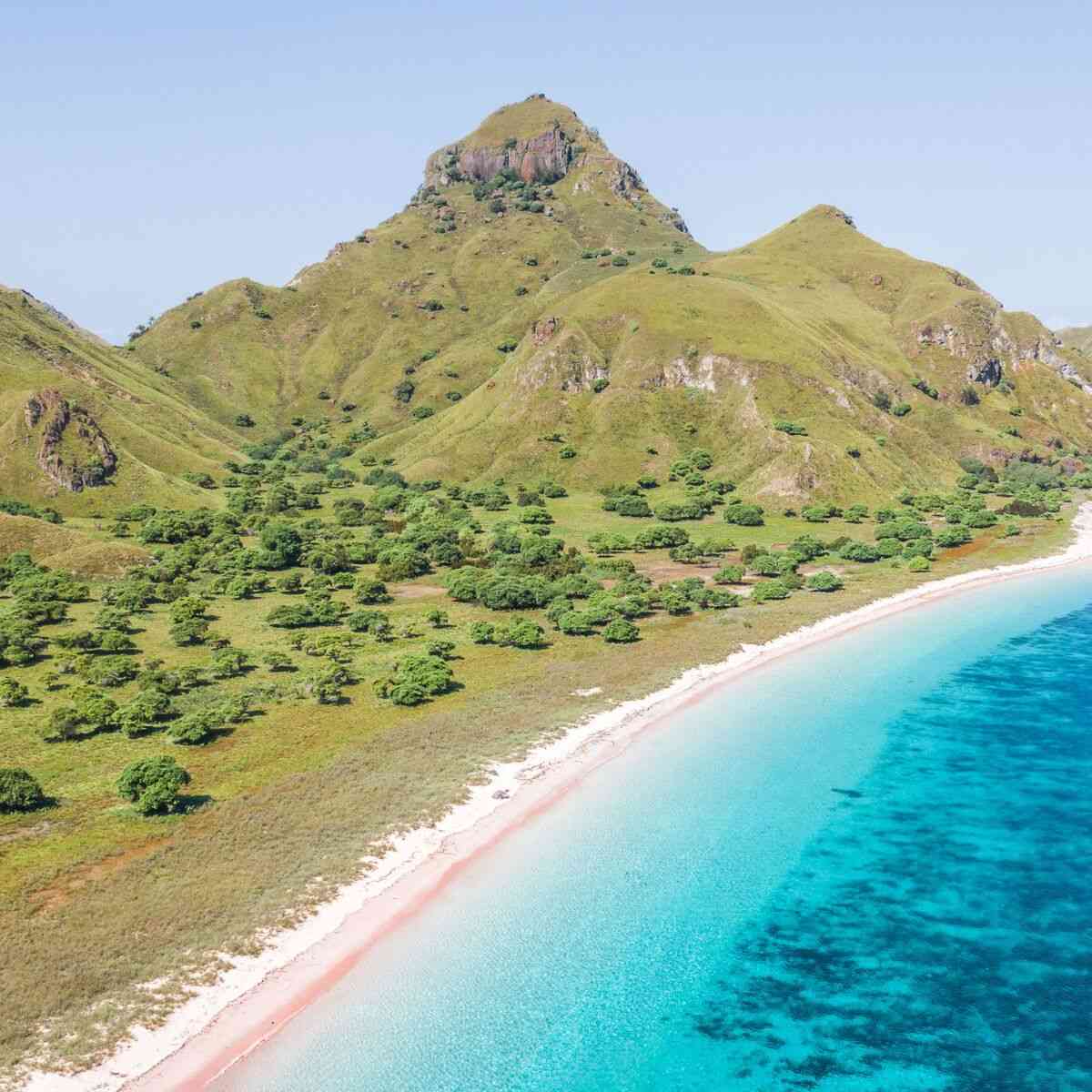 Komodo Liveaboard Itinerary Pink Beach Manta Point Taka Makassar