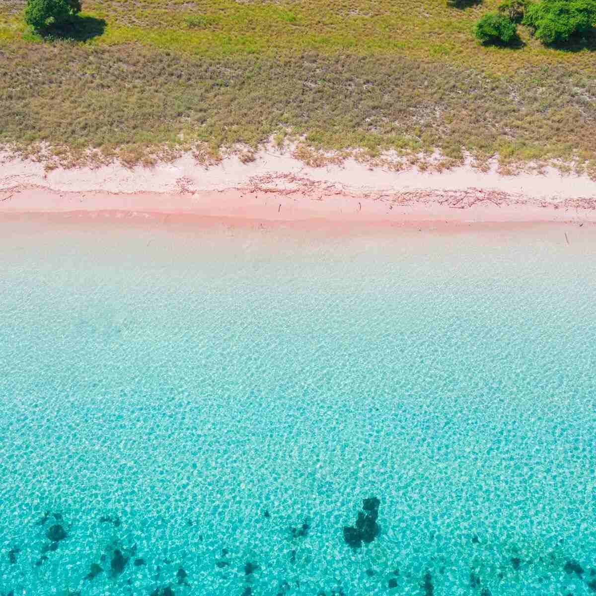 Pink Beach Komodo Pink Beach Komodo