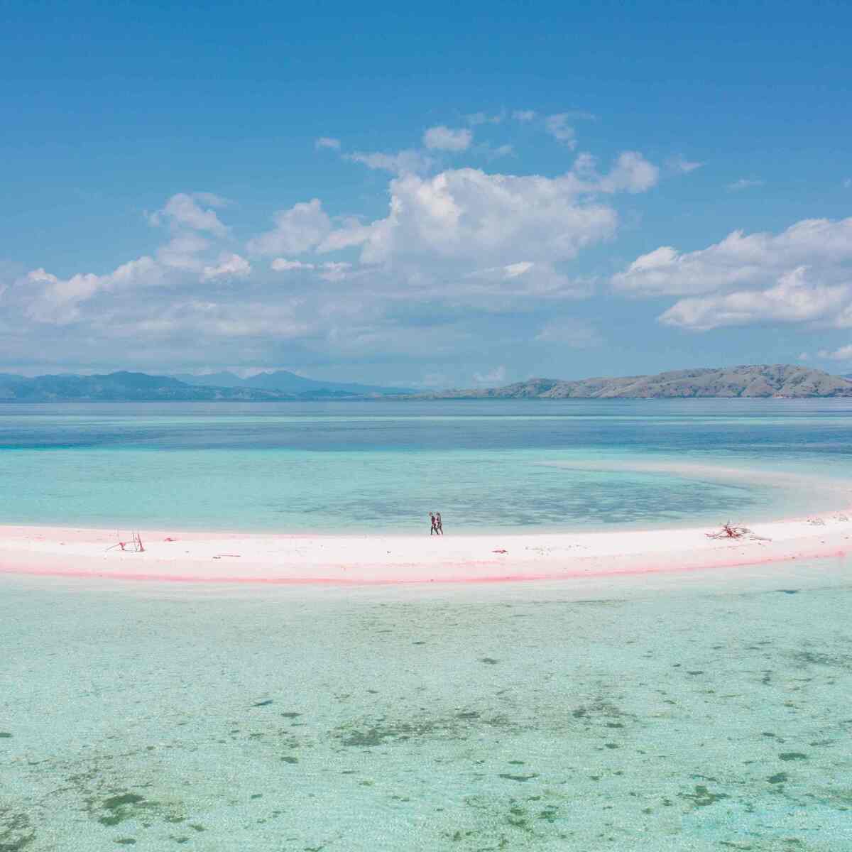 The 12 Best Komodo Dive Sites for 2027, Ranked by Zone and Difficulty