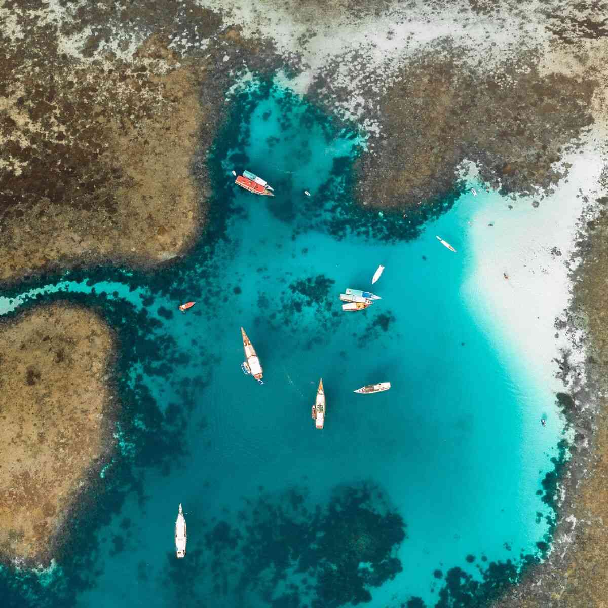 Komodo Currents Explained (2027): How Strong They Really Are & Who Can Dive Them