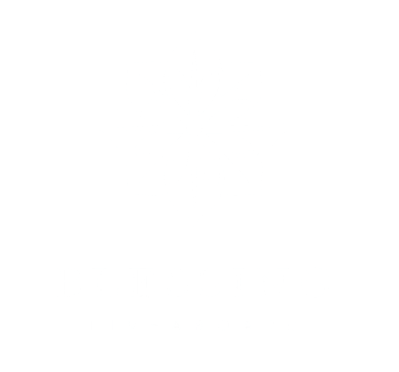 Logo Blessing Liveaboard